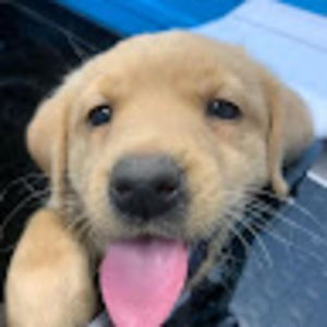 Meet your Posher, Nelly